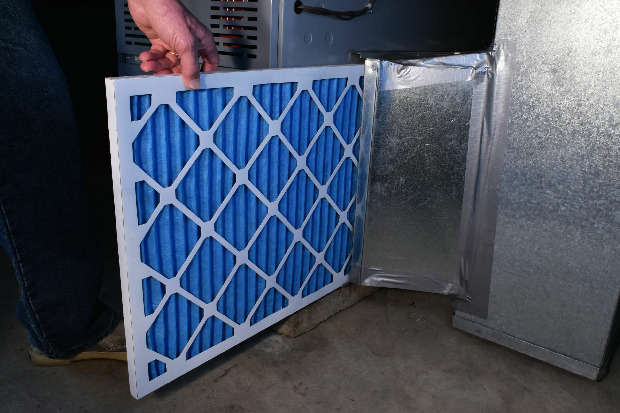 How often to schedule pest control in Waco TX